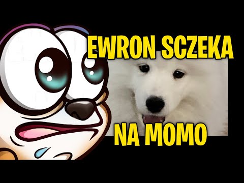 Ewron szczeka na Momo XD