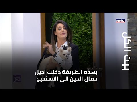 بيت الكل - بهذه الطريقة دخلت اديل جمال الدين الى الاستديو
