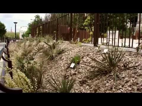 Le jardin du Palais de la Porte Dorée