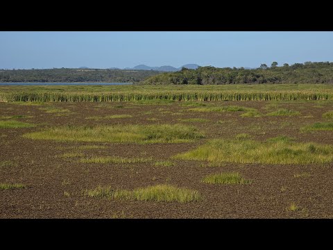 ATUALIZAÇÃO DO AÇUDE MUQUEM EM CARIUS CEARÁ HOJE 30.06.2026