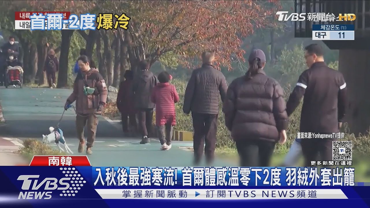 入秋後最強寒流! 首爾體感溫零下2度 羽絨外套出籠