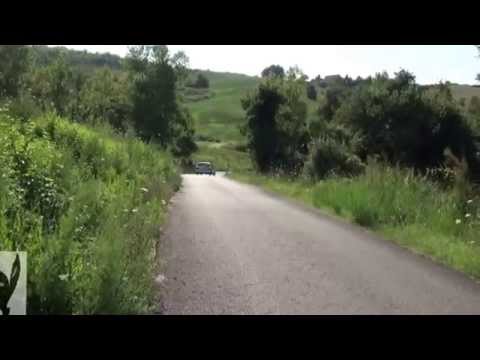 Rally Rose'n Bowl 2014 Crash & Show Pure Sound [ HD ]