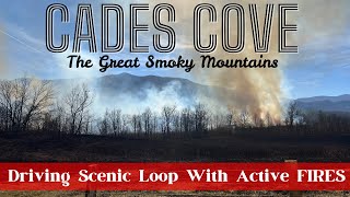 DRIVING THROUGH CADES COVE WITH ACTIVE FIRES IN THE GREAT SMOKY MOUNTAINS