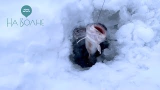База зимняя рыбалка на рыбинском водохранилище