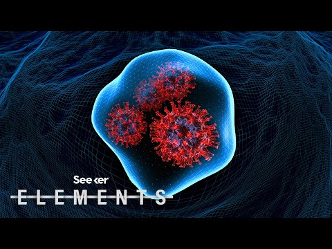 冠狀病毒到底是不是 "空降"？ (Is the Coronavirus ‘Airborne’ or Not?)