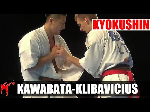 Kokoro Cup 8: Antanas Klibavicius vs. Ikuya Kawabata