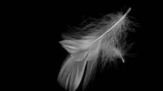 Poisonblack - With Her I Die