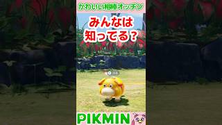 オッチンクイズ5問！みんなは、いくつ正解できる？#ピクミン4 #ピクミン #クイズ #shorts