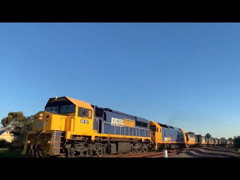 9155 Broad Gauge Pacific National Grain Train With XR557 & BL28