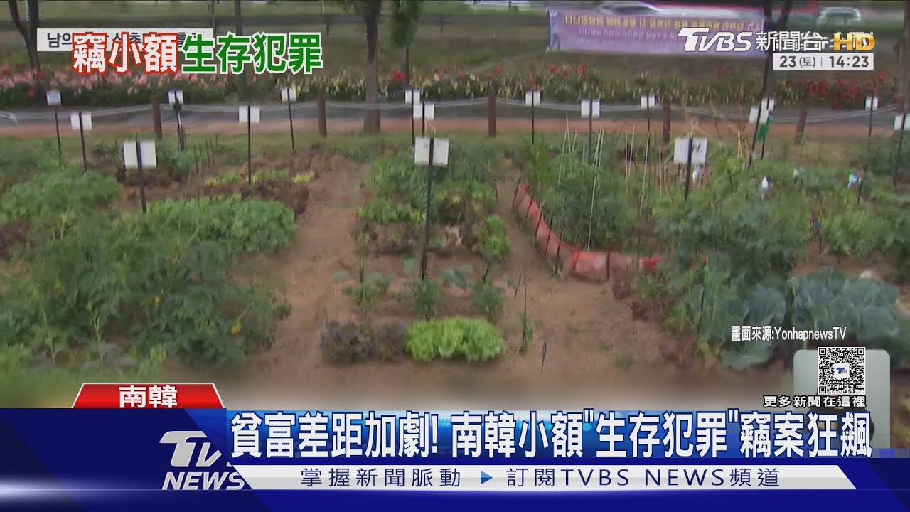 影音/南韓「生存犯罪」暴增40%!80歲嬤偷5紅豆包 只為病夫吃一口