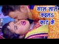 Nirahua आम्रपाली का सुपरहिट गाना Aamrapali Dubey गाल
