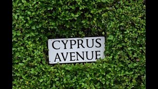 Van Morrison - Cyprus Avenue