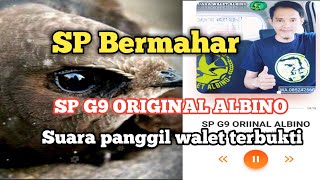 Download lagu Suara Panggil walet terbaik‼️Suara Bermahar SP G9 ORIGINAL ALBINO mp3 Download lagu Suara Panggil walet terbaik‼️Suara Bermahar SP G9 ORIGINAL ALBINO mp3