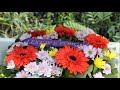 From Iraq To Westmead Security Guard S Emotional Anzac Day