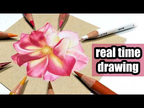 Master Colored Pencil Drawing With This Step By Step Guide