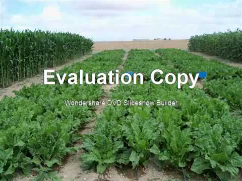 JUGDISH SEENUNDUN SONGS ON MAURITIUS