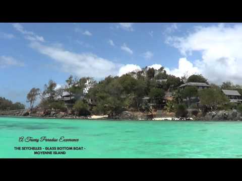 The Seychelles Experience - Glass Bottom Boat - Moyenne