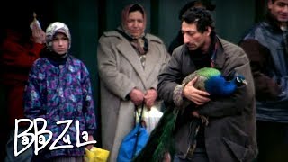 Music video thumbnail preview for BaBa ZuLa - Tavus Kuşu Çalarım (Official Audio) [© 2020 Soundhorus] by Baba Zula
