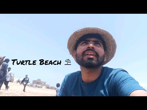 Sunday At Turtle Beach ⛱️ - Noman and Namira