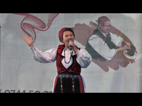FESTIVALUL MESTESUGARILOR ORSOVA 2017  1