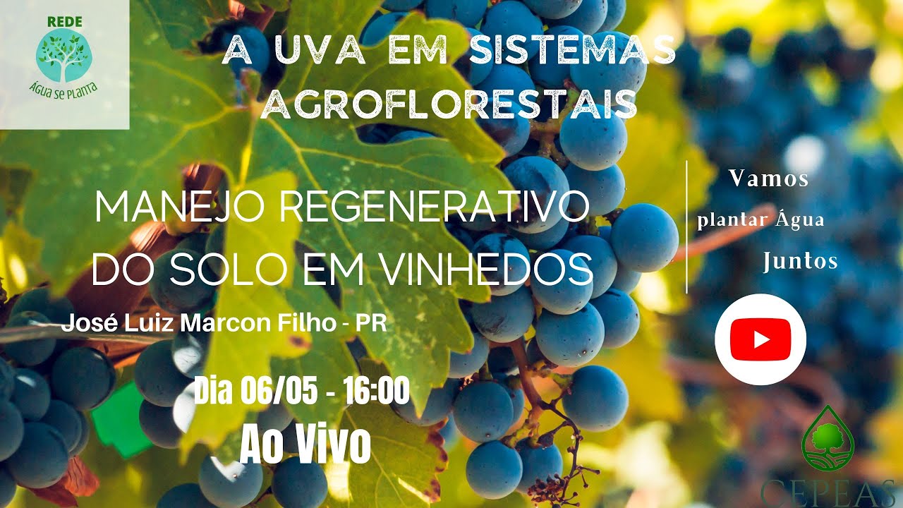 Rede Água se Planta: A Uva em sistemas Agroflorestais - Manejo Regenerativo do solo em vinhedos.