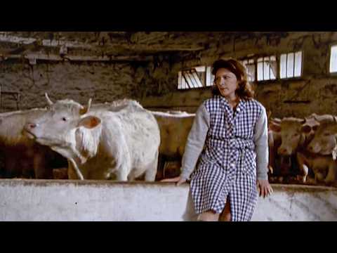 Annie Cordy - The Devil in Clogs (1997) He arrived without a past… but not without secrets