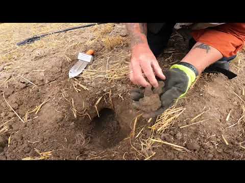 Tilbage på Tåsinge #metaldetektor #Danmark