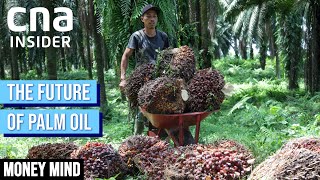 How To Brew A Sustainable Alternative To Palm Oil | Money Mind | Future Of Food