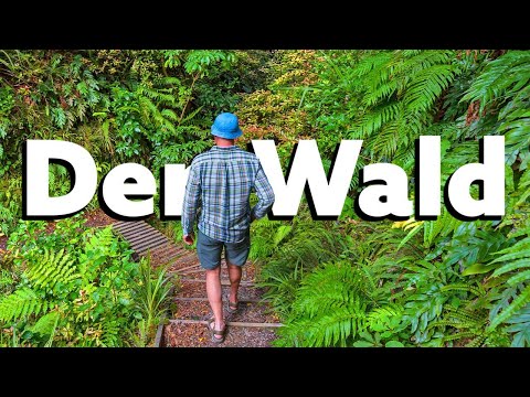Der Wald – Das Wunder unserer Heimat (NATUR l Ganze Naturdokumentation Deutsch, Komplette Doku)