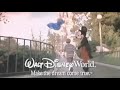 Walt Disney World My Vacation VHS TV Commercial