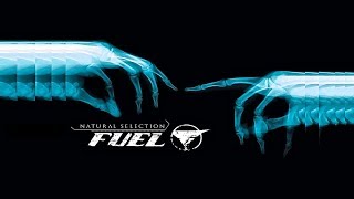 Fuel- These Things Electric Guitar Cover (w/solos)