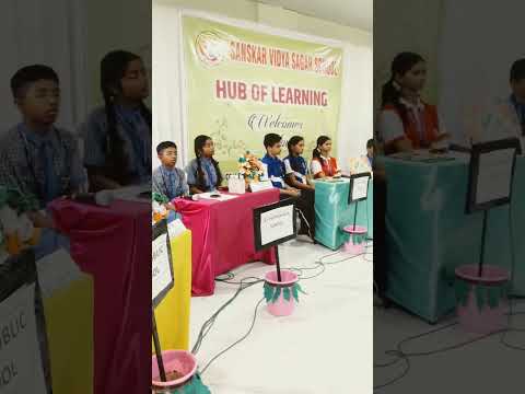 SANSKAR VIDYA SAGAR // HUB OF LEARNING// QUIZ COMPETITION #scienceexhibition #school #quiz
