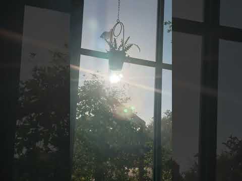 Sunday morning coffee at mothership roasters #coffee #fyp #shorts #live