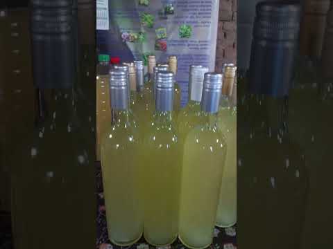 "Mis Sueños" elaboración de vino de naranja🍊 Humberto 1° Santa fe Argentina