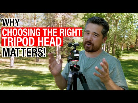 Ball, 3-Way, Geared and Gimbal: Why choosing the right tripod head matters