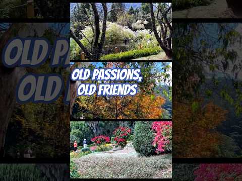 Thumbnail de Old Passions, Old Friends🎵Gravado no Ecco Parque Pinhal
