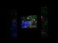 Sesame Street Episode 3338 Ending