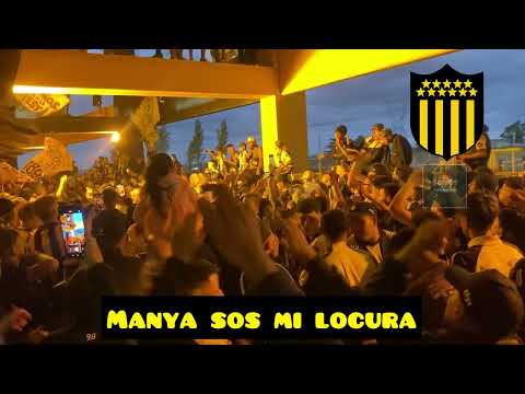 "PEÑAROL ES ASÍ, EL ORGULLO DE TODO EL PAÍS: Hinchada de Peñarol | Campeón del siglo #peñarol" Barra: Barra Amsterdam &bull; Club: Peñarol &bull; País: Uruguay
