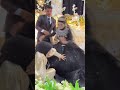 Mentahan