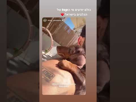 סרטון לקוחות