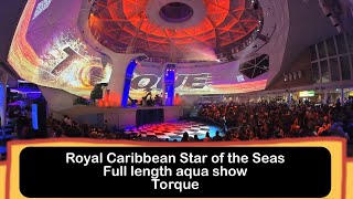 Are You Ready for the MOST EPIC Indoor Water Show on Royal Caribbean?