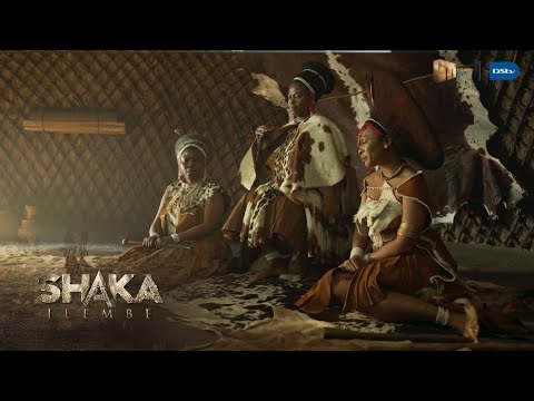 Danger is looming – Shaka iLembe | S2 | Mzansi Magic