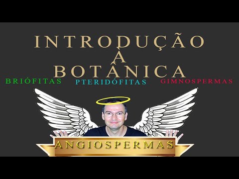 Introdução à botânica.