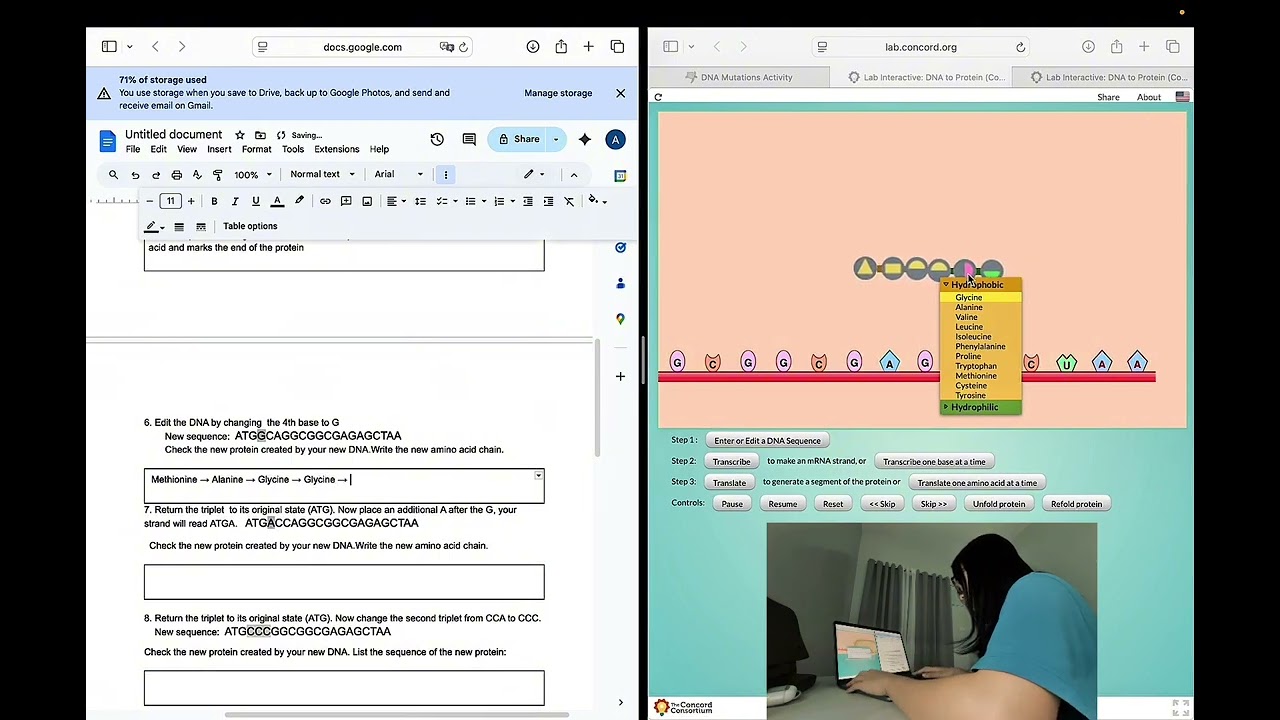 Activity 5: DNA Mutation Simulation 