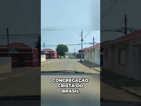 Descubra JABUTI  A Joia Escondida Que Vai Te Surpreender!
