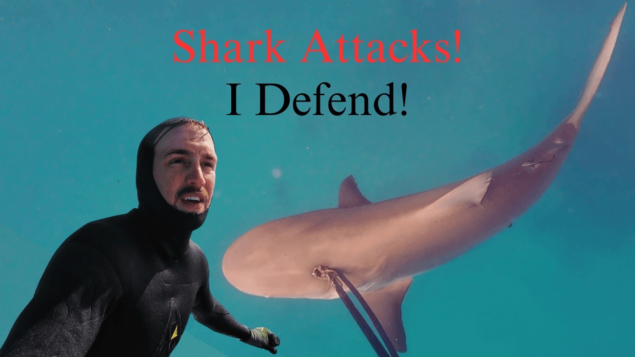 Spearfishing Shark Attack! [Bahamas Catch & Cook] (Day 18/100 Day Water World Challenge)