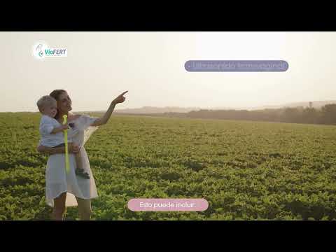 Comprehensive Guide to Pre-Evaluation Studies for IVF Treatments in Mexico