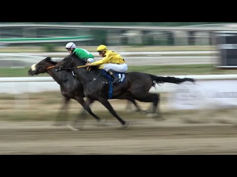 Održan 99. srpski galopski derbi: Snovi džokeja i vlasnika konja ponovo na Beogradskom hipodromu