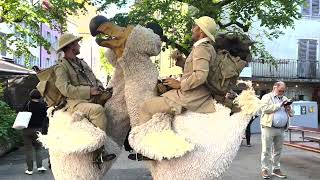 Afozic, Aperçu Vidéo