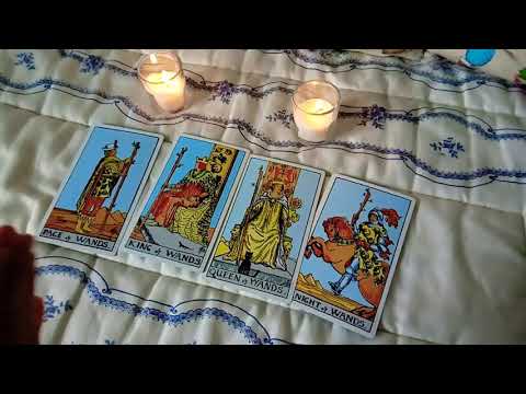 🍎#11 MINOR ARCANA: WANDS • JACK, KNIGHT KING/QUEEN • TAROT COURSE